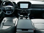 2025 F-150 Thumbnail 15