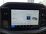 2025 F-150 Thumbnail 14