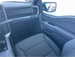 2025 F-150 Thumbnail 13