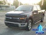 2024 F-150 Thumbnail 1