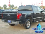 2024 F-150 Thumbnail 5