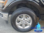 2024 F-150 Thumbnail 9