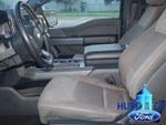 2024 F-150 Thumbnail 10