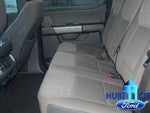 2024 F-150 Thumbnail 12
