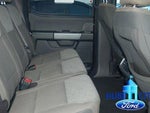 2024 F-150 Thumbnail 14