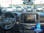 2024 F-150 Thumbnail 18