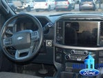 2024 F-150 Thumbnail 19