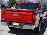 2024 F-150 Thumbnail 10