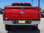 2024 F-150 Thumbnail 11