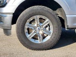 2024 F-150 Thumbnail 7