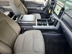 2024 F-150 Thumbnail 10