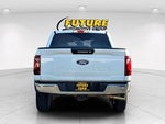 2024 F-150 Thumbnail 5