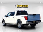 2024 F-150 Thumbnail 6