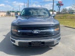 2024 F-150 Thumbnail 2