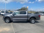 2024 F-150 Thumbnail 4