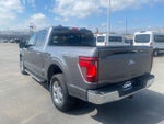2024 F-150 Thumbnail 5