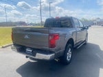 2024 F-150 Thumbnail 7