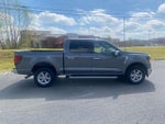 2024 F-150 Thumbnail 8