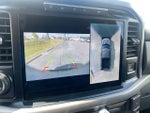 2024 F-150 Thumbnail 20