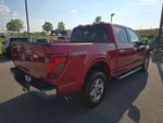 2024 F-150 Thumbnail 5