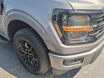 2024 F-150 Thumbnail 9