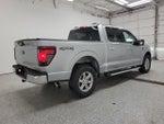 2024 F-150 Thumbnail 3