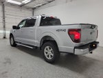 2024 F-150 Thumbnail 4