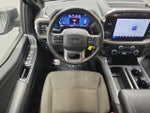 2024 F-150 Thumbnail 14