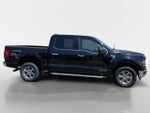 2024 F-150 Thumbnail 2
