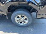 2024 F-150 Thumbnail 6