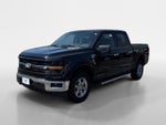 2024 F-150 Thumbnail 7