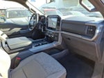 2024 F-150 Thumbnail 14