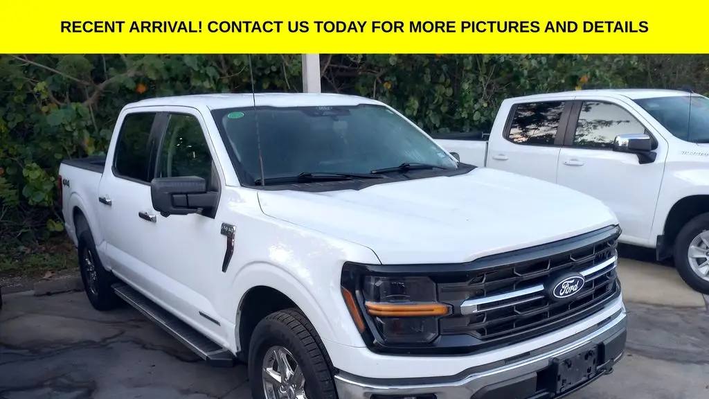 Preowned 2024 Ford F-150 XLT for Sale