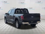 2024 F-150 Thumbnail 14