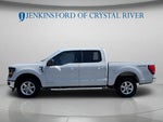 2024 F-150 Thumbnail 7