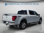 2024 F-150 Thumbnail 38