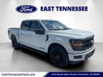 2024 F-150 Thumbnail 1