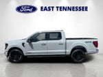 2024 F-150 Thumbnail 6