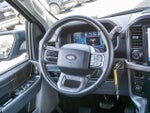 2024 F-150 Thumbnail 16