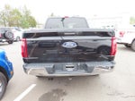 2024 F-150 Thumbnail 6