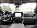 2024 F-150 Thumbnail 16