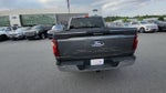 2024 F-150 Thumbnail 9