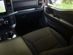 2024 F-150 Thumbnail 14