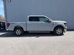 2024 F-150 Thumbnail 19
