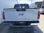 2024 F-150 Thumbnail 21