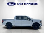 2024 F-150 Thumbnail 2