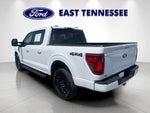 2024 F-150 Thumbnail 5