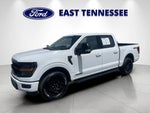 2024 F-150 Thumbnail 7