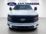 2024 F-150 Thumbnail 9