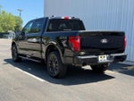 2024 F-150 Thumbnail 3
